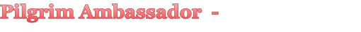 Pilgrim Ambassador  -