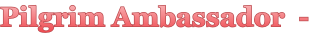 Pilgrim Ambassador  -